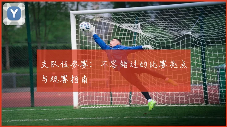 支队伍参赛:不容错过的比赛亮点与观赛指南