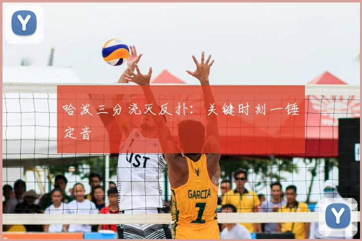 哈泼三分浇灭反扑：关键时刻一锤定音