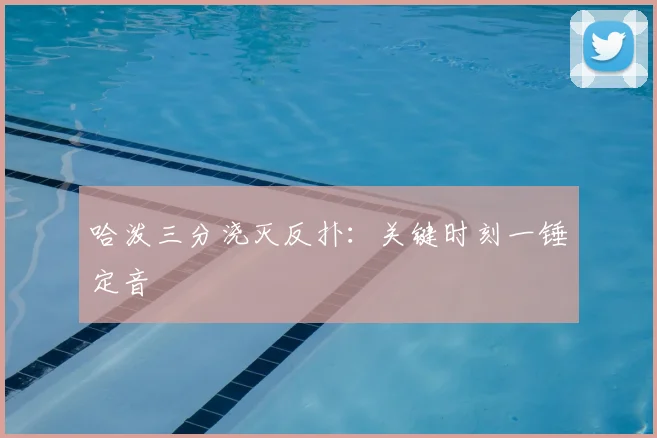 哈泼三分浇灭反扑：关键时刻一锤定音
